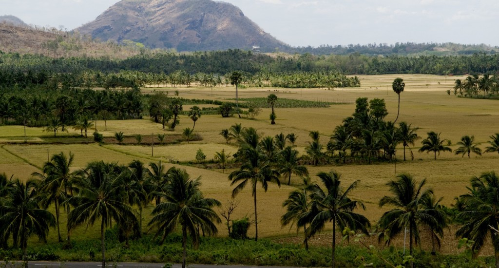 Palakkad-rural-scene