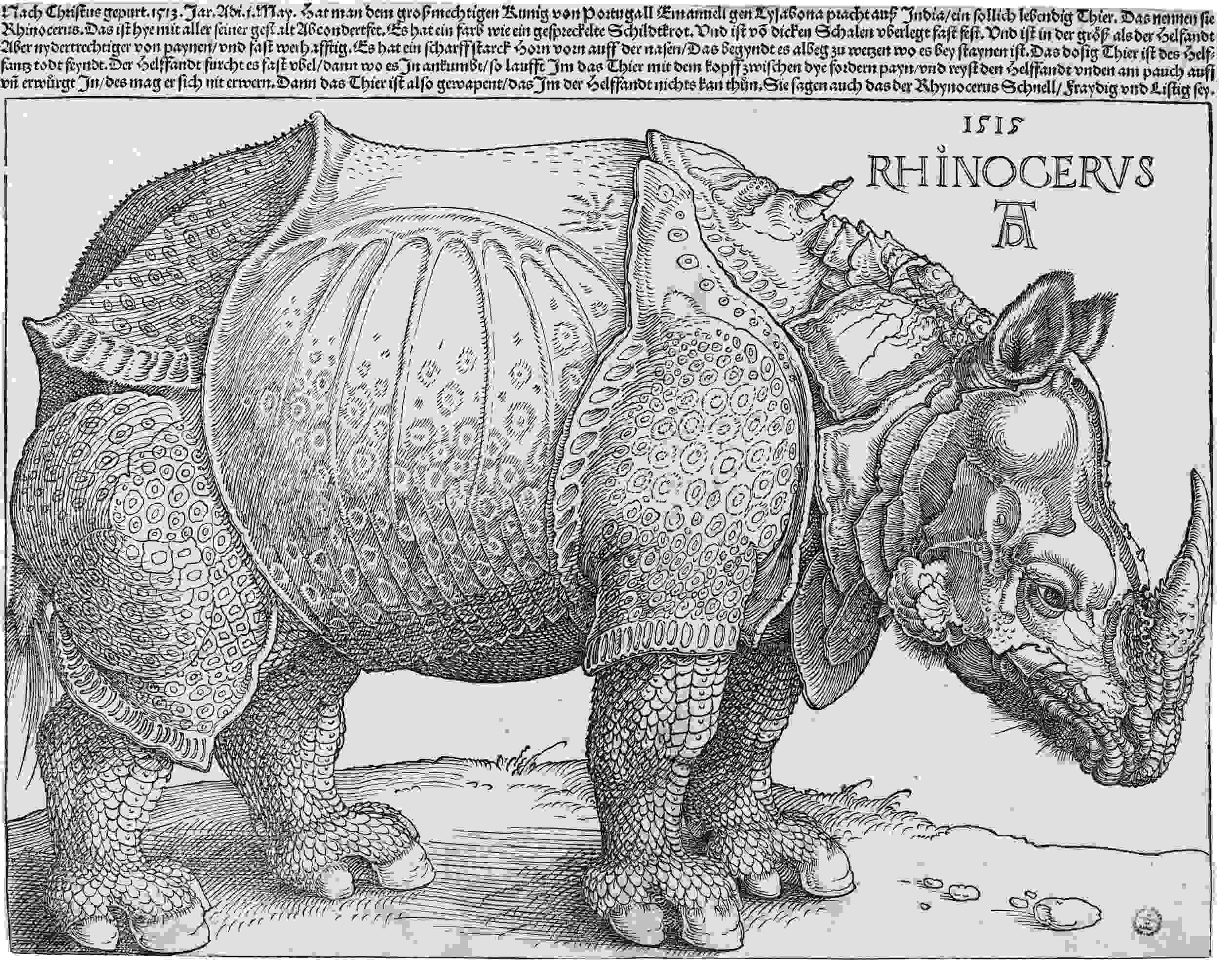 Rhinoceros: Woodcut by German artist Albrecht Dürer in 1515